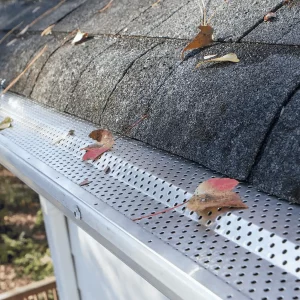 the leaf pros gutter protection